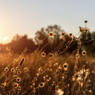 Ogólnopolski Turniej Wiedzy Pożarniczej,, Młodzież Zapobiega Pożarom" -Etap Powiatowy